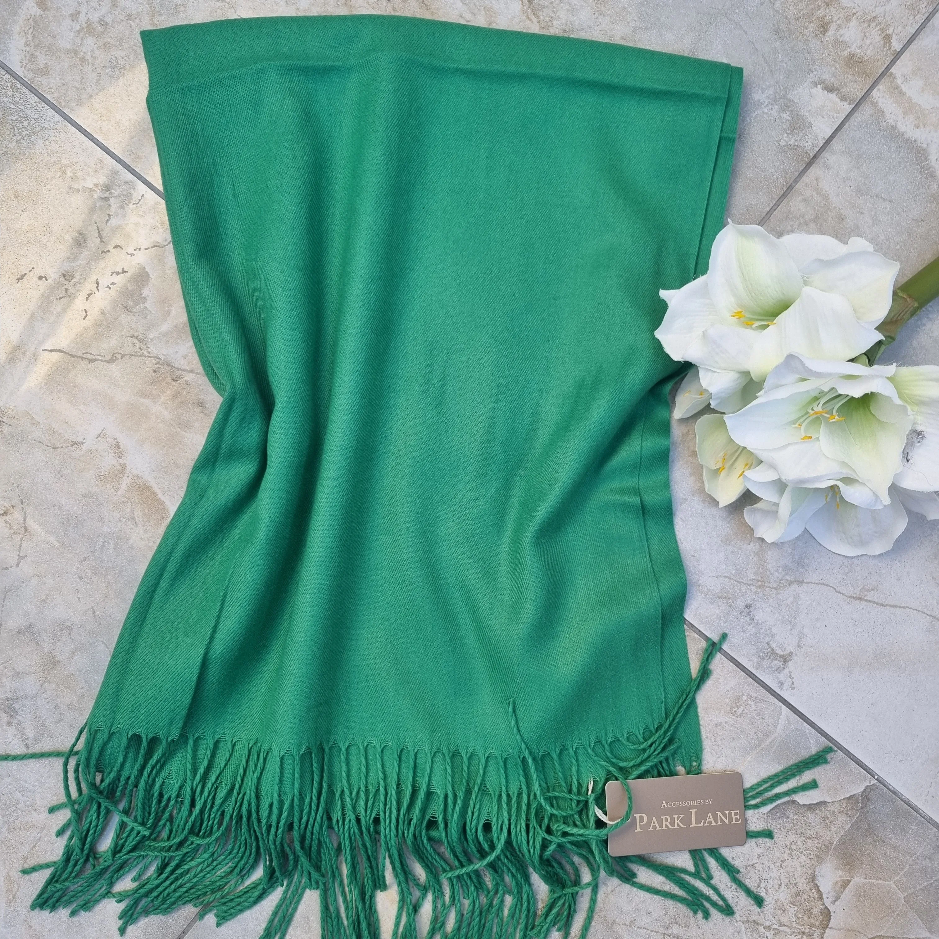 Celine luxury soft pashmina scarf