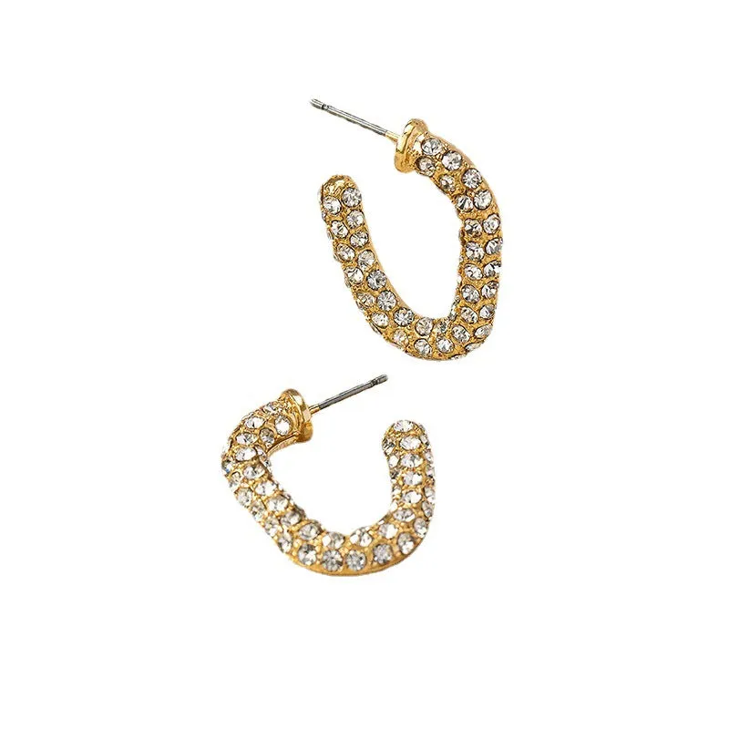 Luxurious Vienna Verve Metal Earrings with Zircon Accent