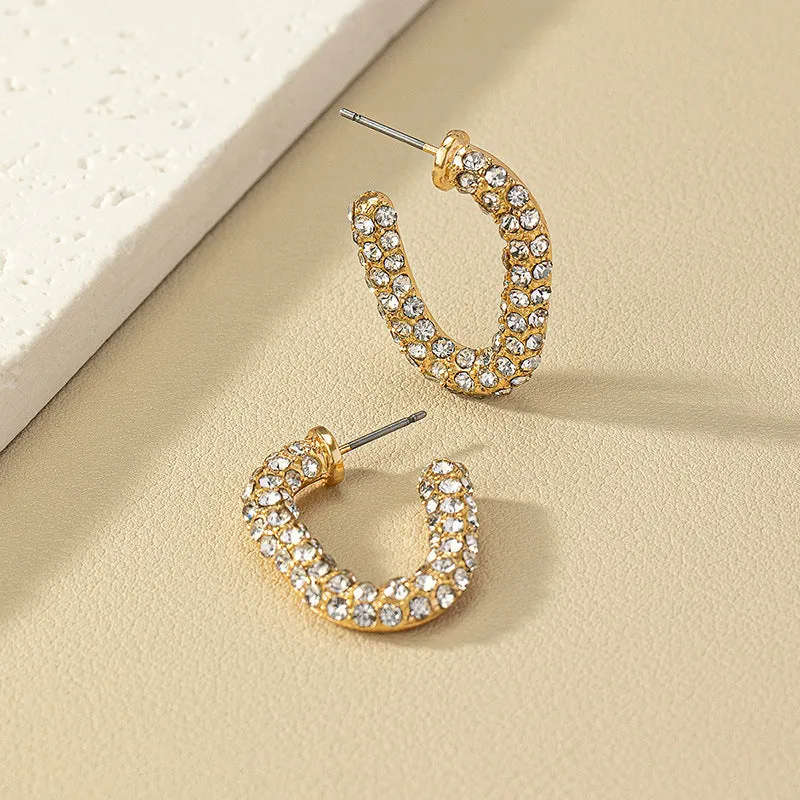 Luxurious Vienna Verve Metal Earrings with Zircon Accent