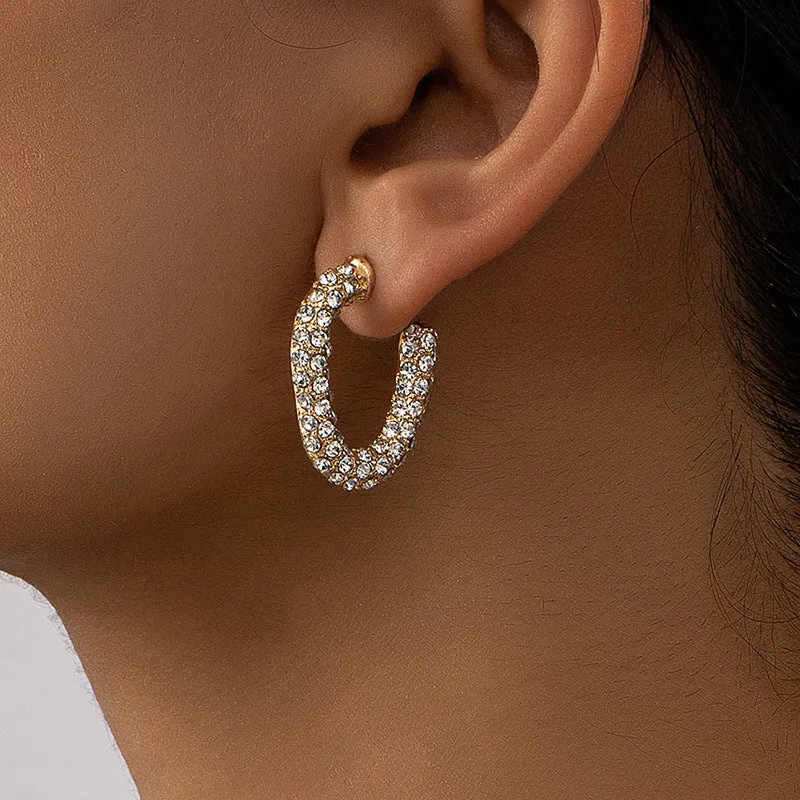 Luxurious Vienna Verve Metal Earrings with Zircon Accent